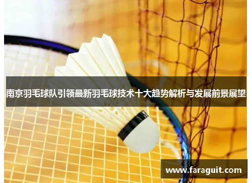 南京羽毛球队引领最新羽毛球技术十大趋势解析与发展前景展望