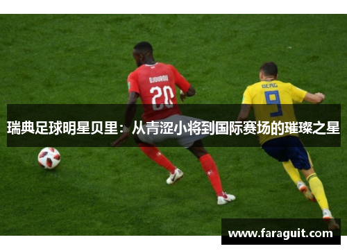 瑞典足球明星贝里：从青涩小将到国际赛场的璀璨之星