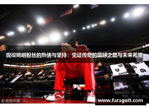现役姚明粉丝的热情与坚持：见证传奇的篮球之路与未来希望