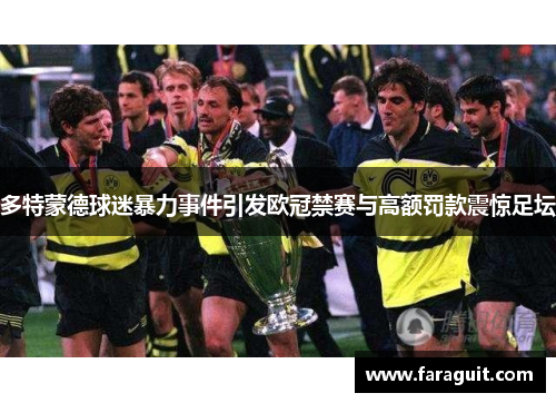 多特蒙德球迷暴力事件引发欧冠禁赛与高额罚款震惊足坛